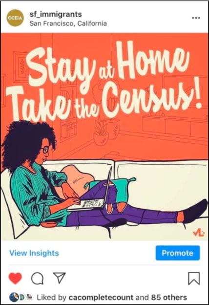 take the census at home