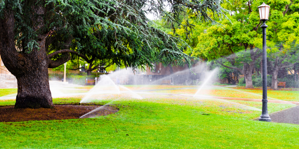 Water conservation city hall