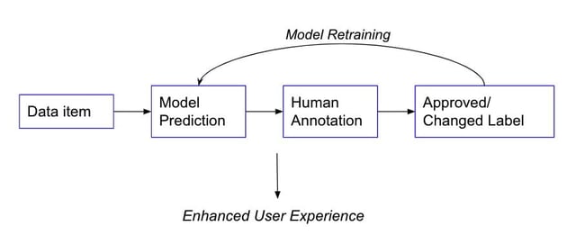 human in the loop